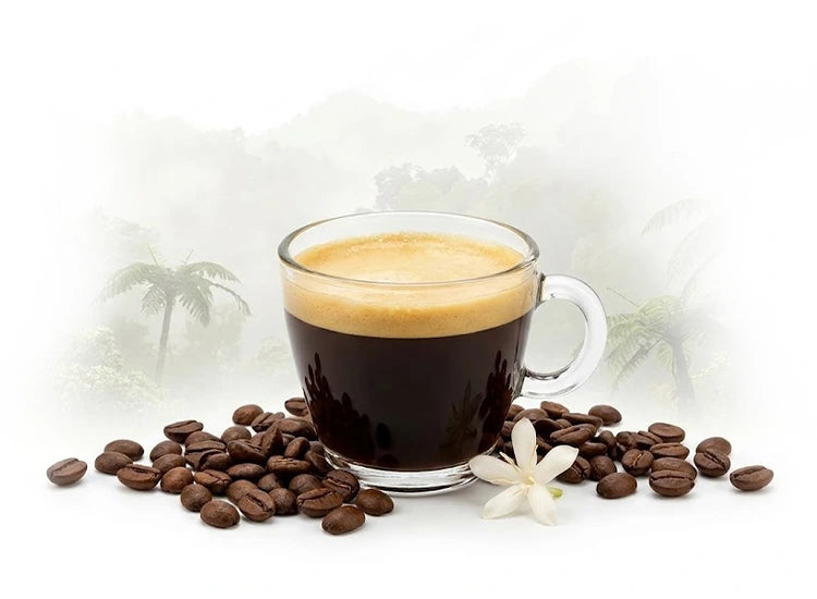 Taza de café con crema, granos tostados y una cafetera de filtro